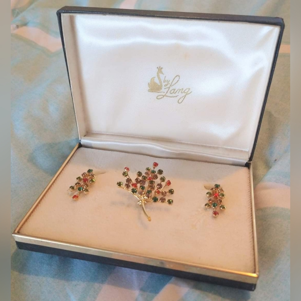 Vintage 1960's Stunning Brooch & Clip-on Earring Set in the Original Box by Lang